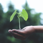 Symbol for - investment opportunities for Expat support service for finance consulting, life in Germany and moving to Germany.